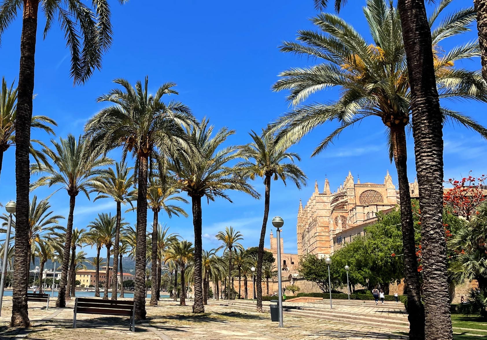 Bild Mallorca_2026_Bild.jpg der Mallorca-Galerie