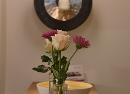 Thumb img 1487